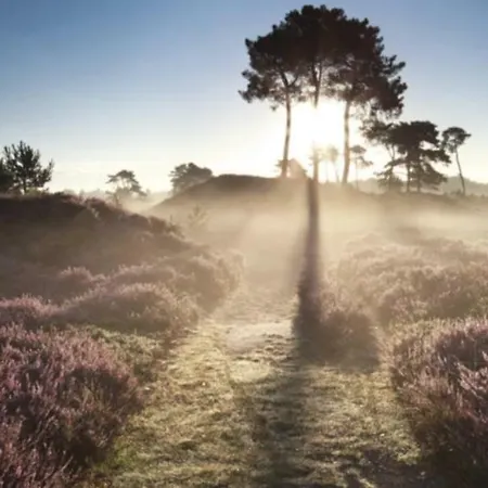 Veluwe Chalet *